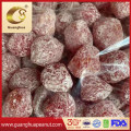 Wholesale Preserved Cherry Plum with Best Taste